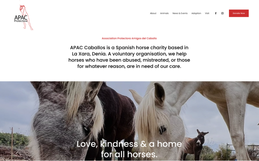 New online presence…
