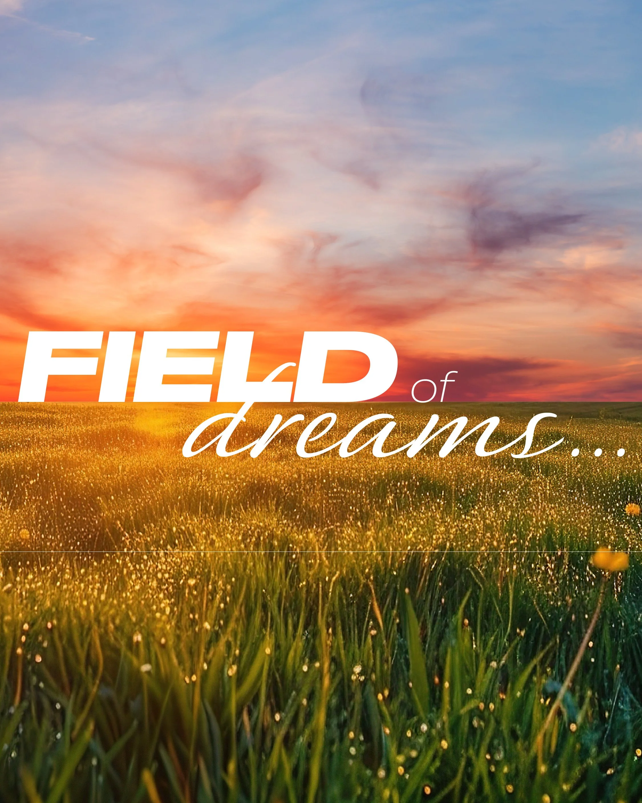Field of Dreams sponsor campaign