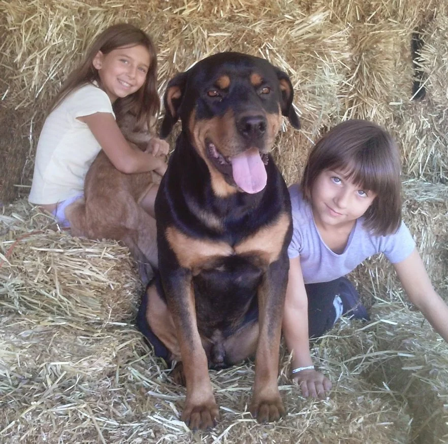 Lucy & Xana