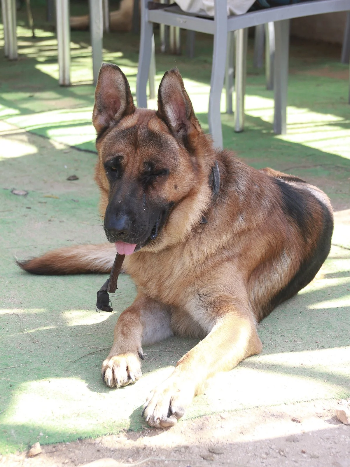 Jack