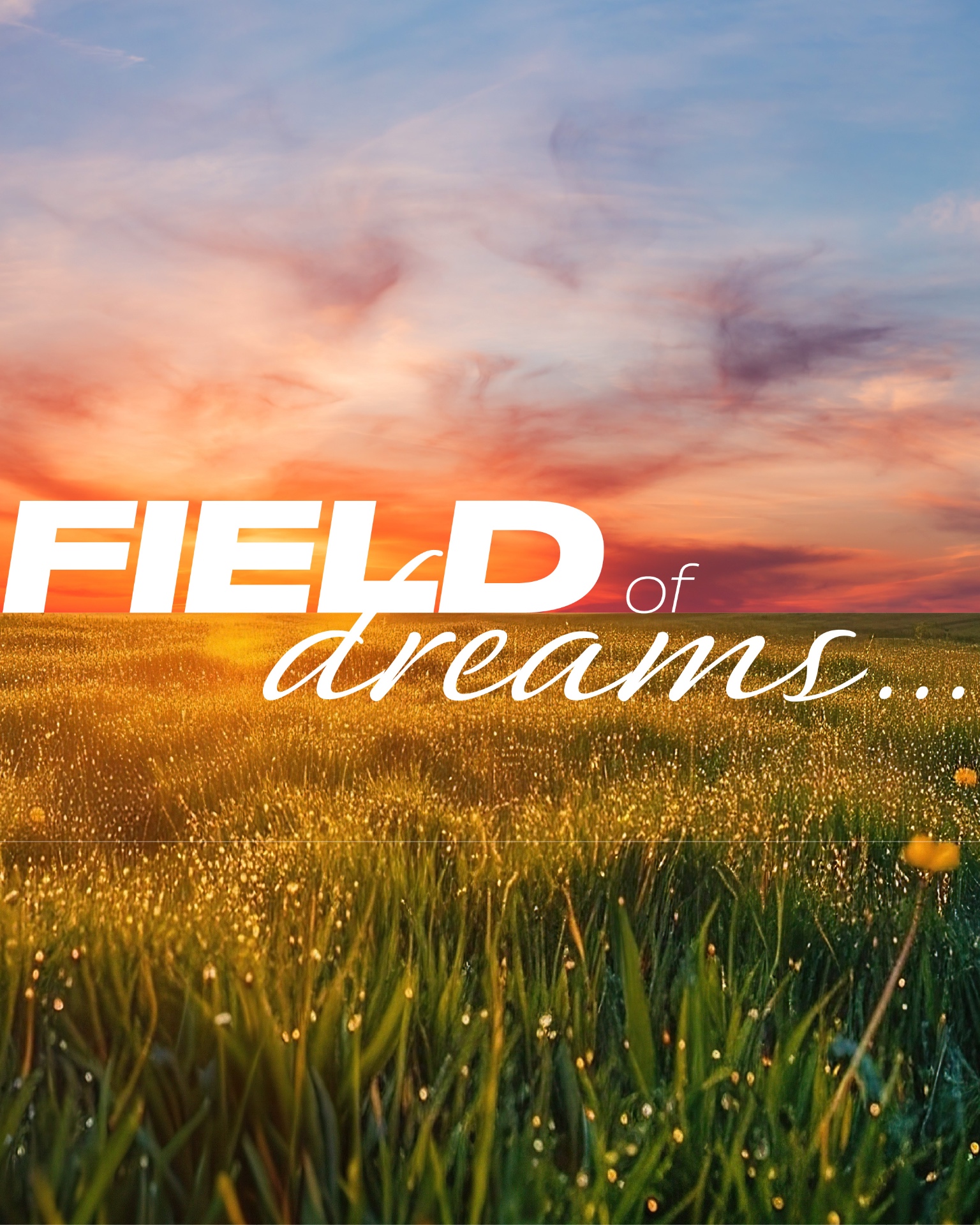 Field of Dreams