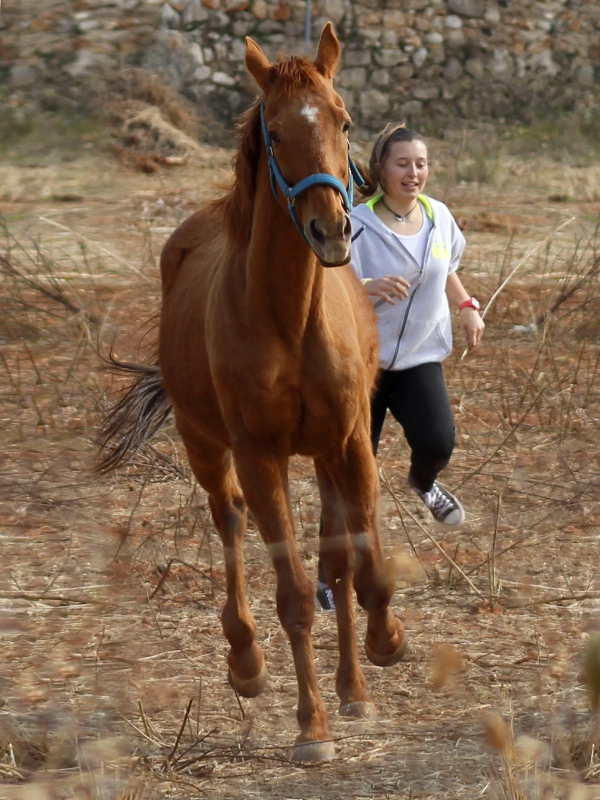 Cheyenne