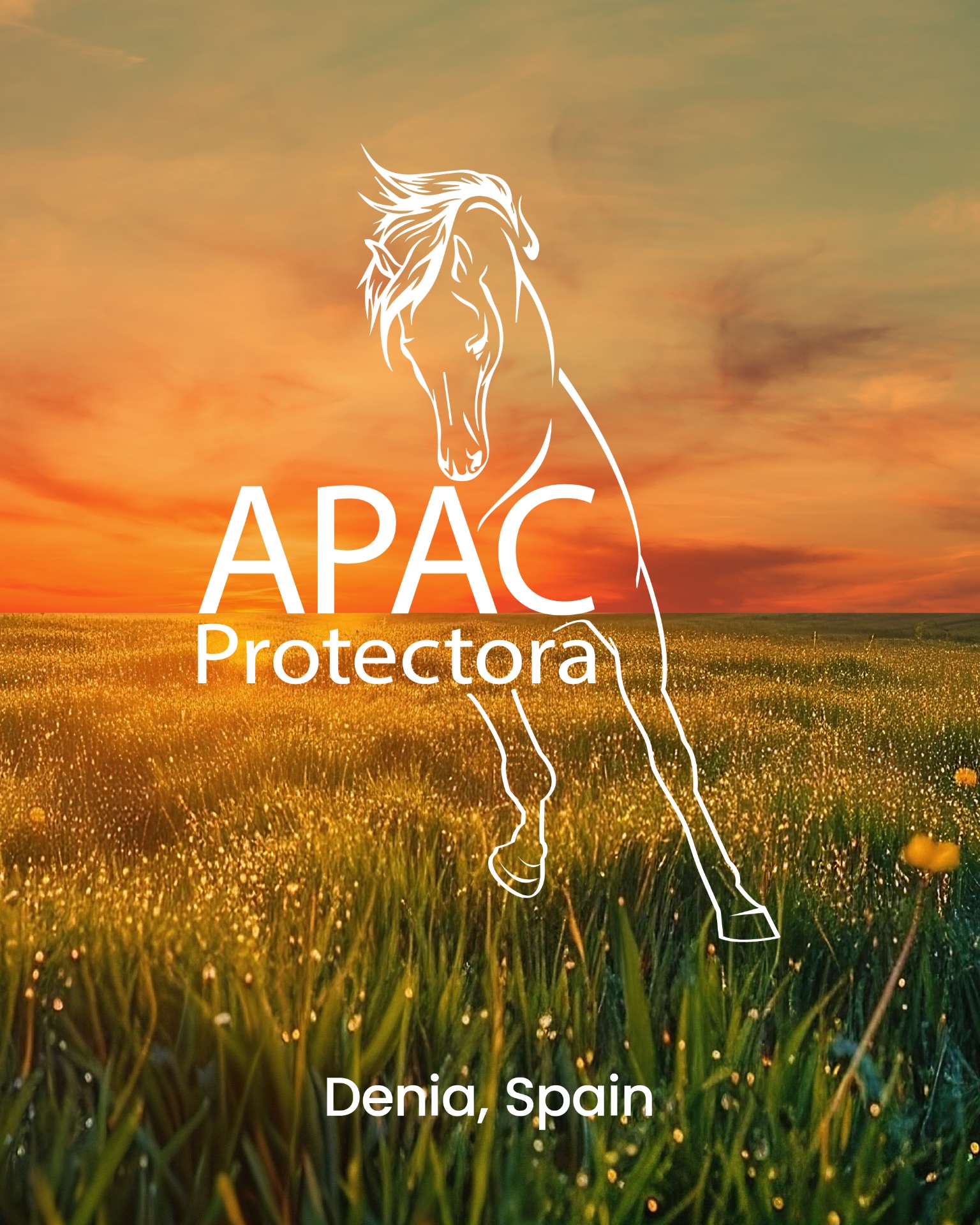 APAC Protectora — Denia, Spain